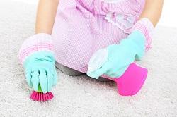 Ouality Carpet Cleaning in Sutton, SM2