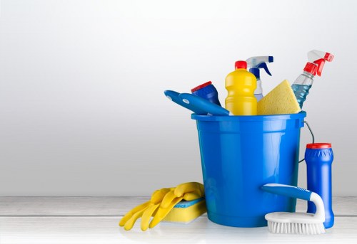 Professional carpet care improving a room's appearance