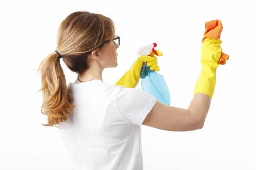 Professional carpet cleaning process in progress inside a property